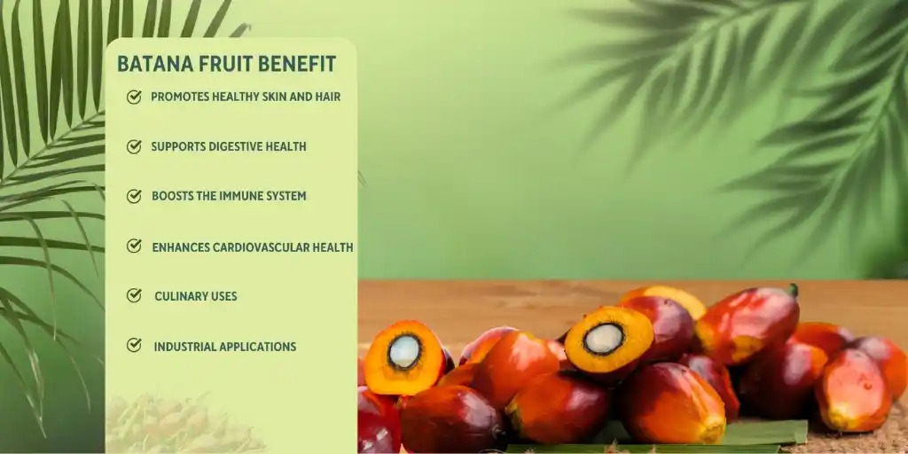 batana-fruit-benefits